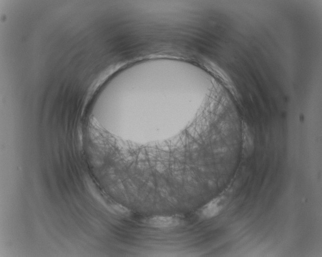 X0000066080298200603311942