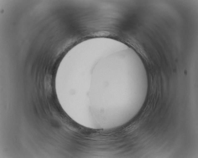 X0000066080300200603311942