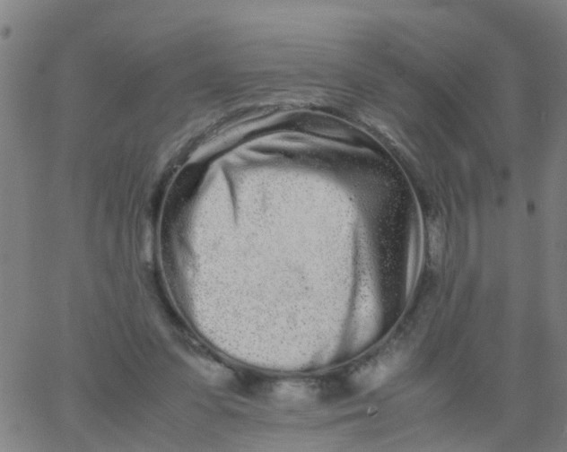 X0000066080303200603311942