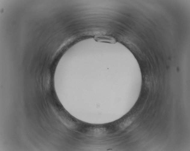 X0000066080304200603311942