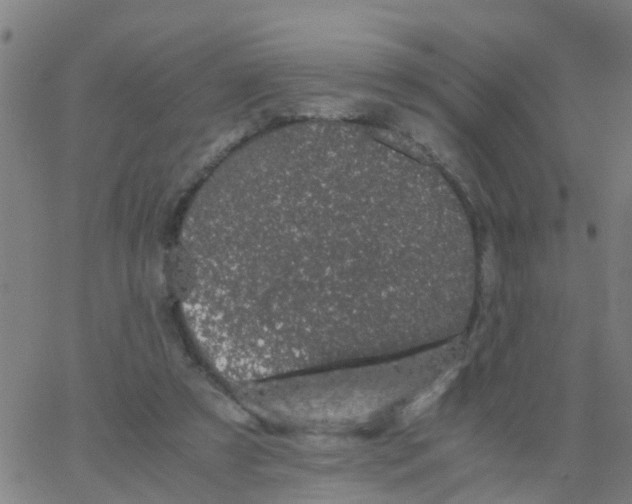 X0000066080305200603311942