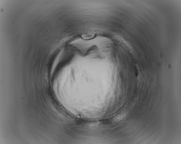 X0000066080306200603311942