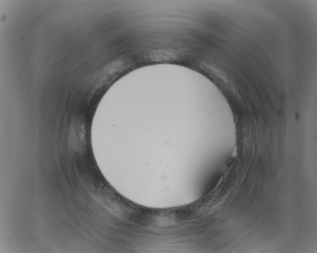 X0000066080308200603311942