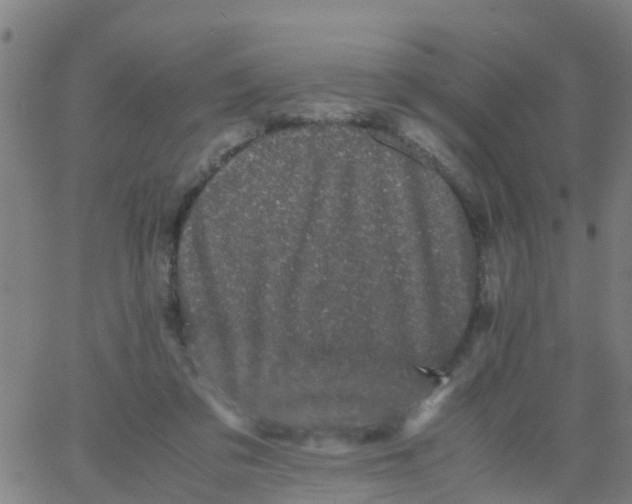 X0000066080309200603311942