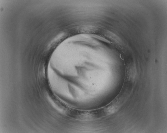 X0000066080310200603311942