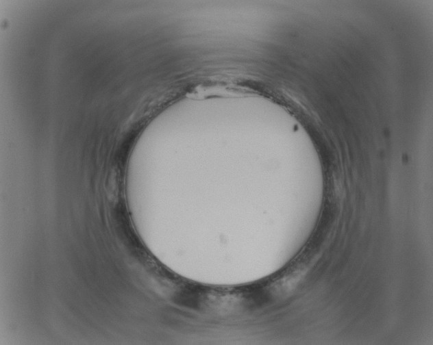 X0000066080311200603311942