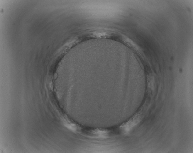 X0000066080313200603311942