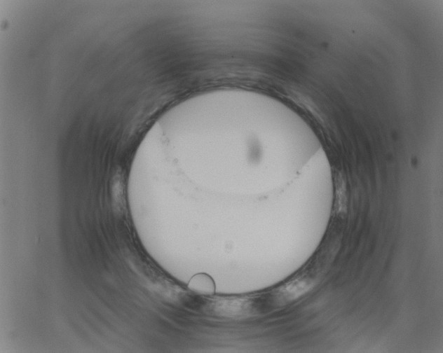 X0000066080314200603311942