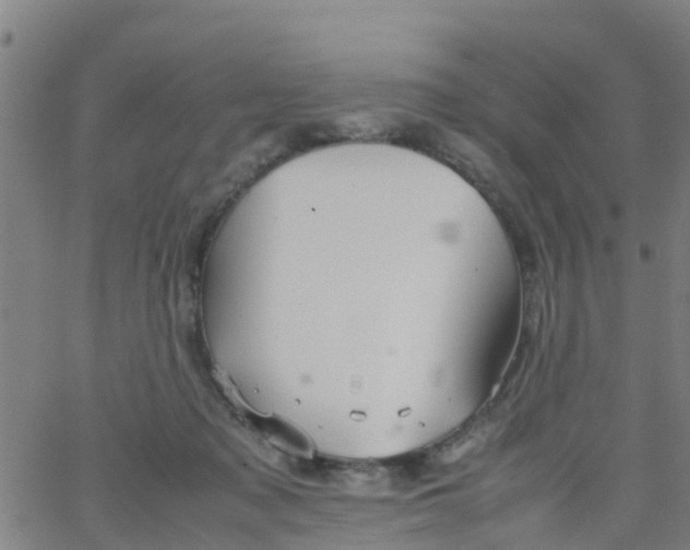 X0000066080317200603311942