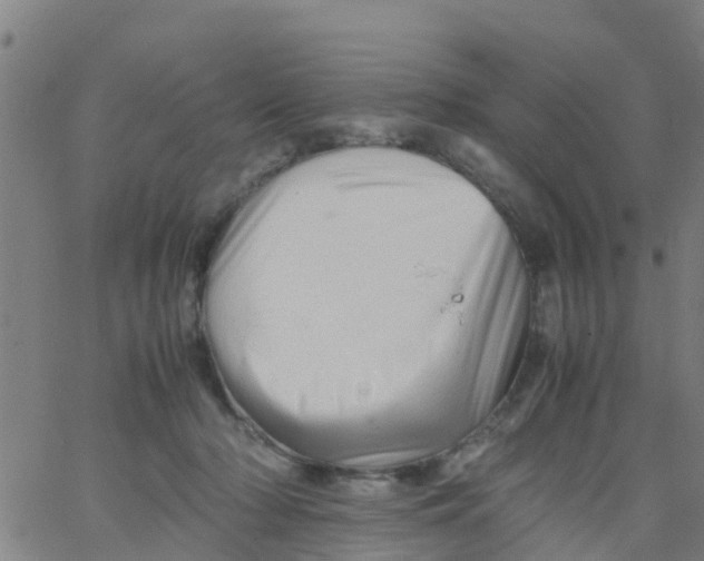 X0000066080318200603311942