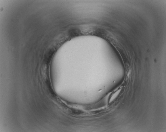 X0000066080319200603311942