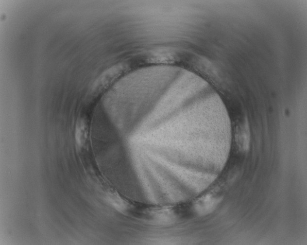 X0000066080322200603311941