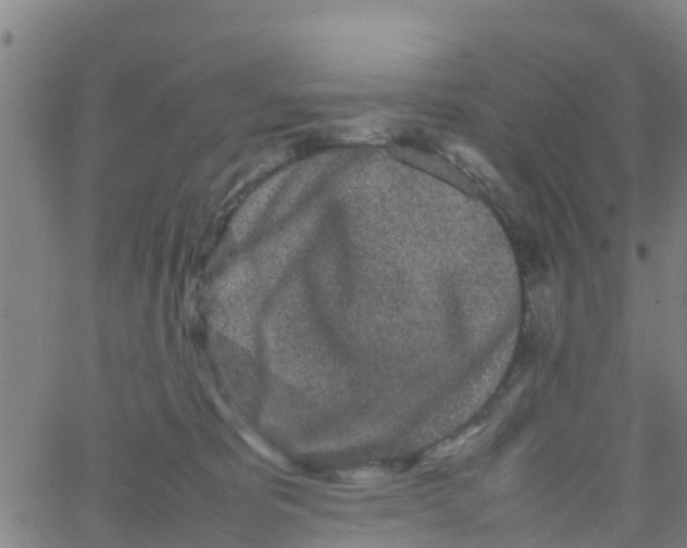 X0000066080325200603311941