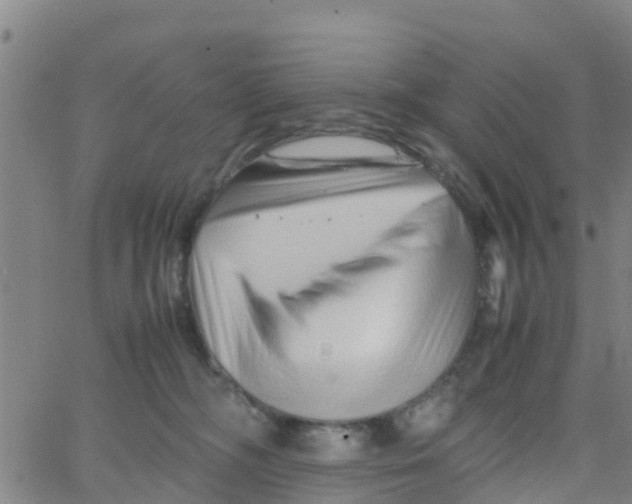 X0000066080326200603311941