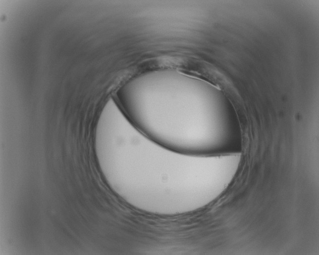 X0000066080329200603311941