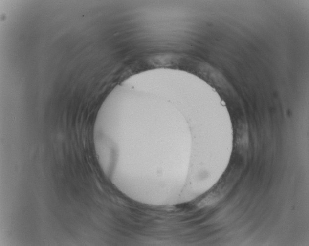 X0000066080332200603311941