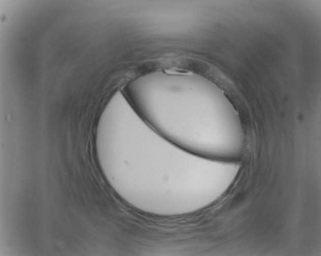 X0000066080333200603311941