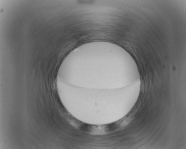 X0000066080335200603311941