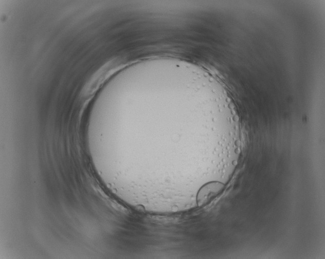 X0000066080339200603311941