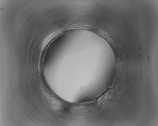 X0000066080340200603311941