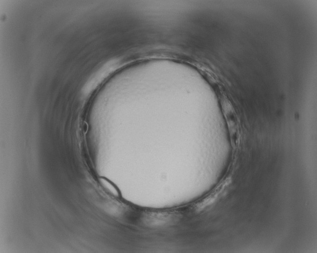 X0000066080341200603311941