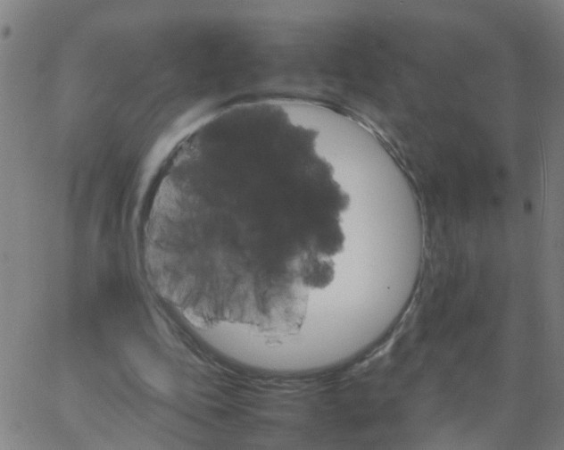 X0000066080343200603311941