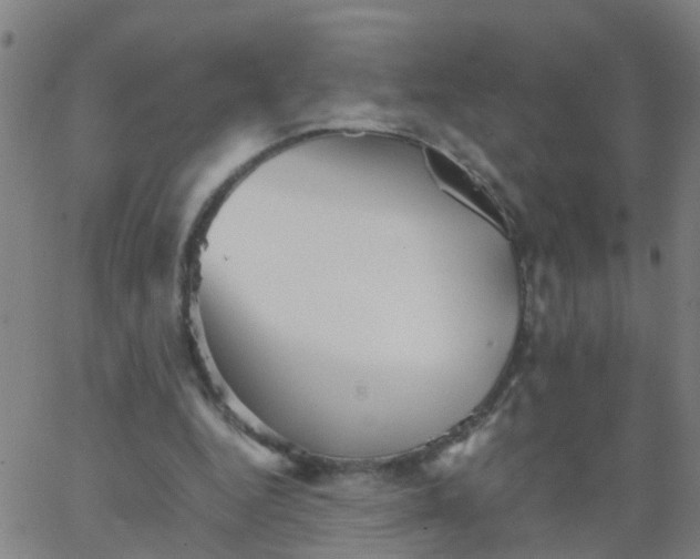 X0000066080344200603311941