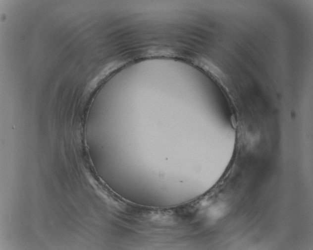 X0000066080345200603311941