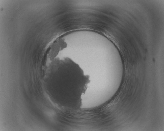 X0000066080347200603311941