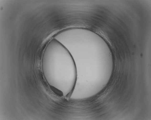 X0000066080348200603311941