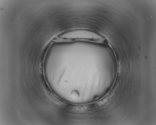 X0000066080351200603311941