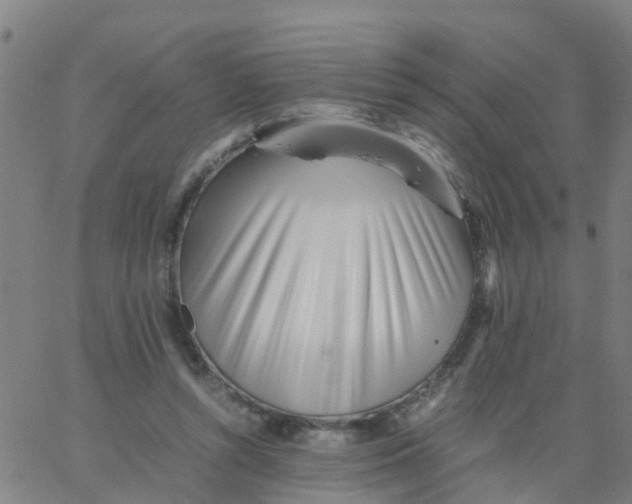 X0000066080352200603311941