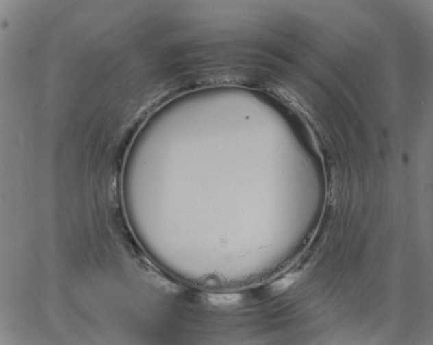 X0000066080355200603311941