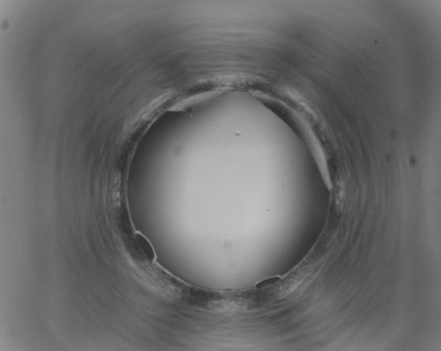 X0000066080356200603311941