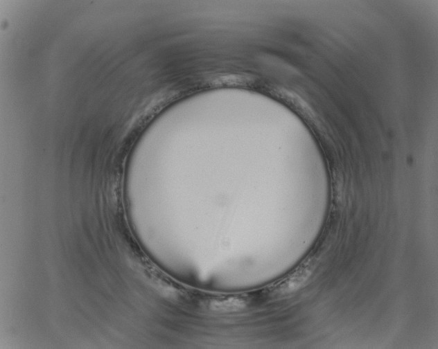 X0000066080357200603311941