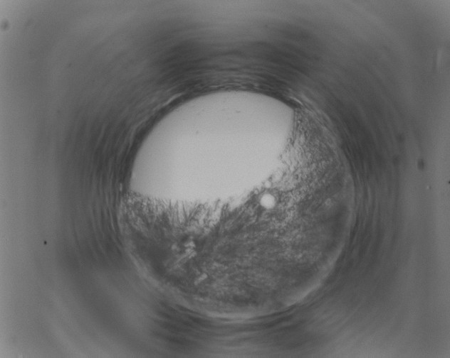 X0000066080359200603311941