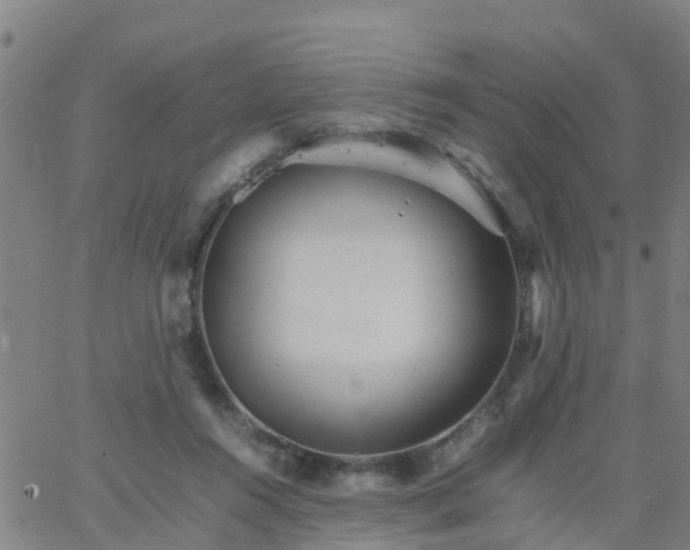 X0000066080360200603311941