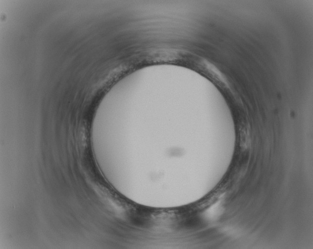 X0000066080362200603311941