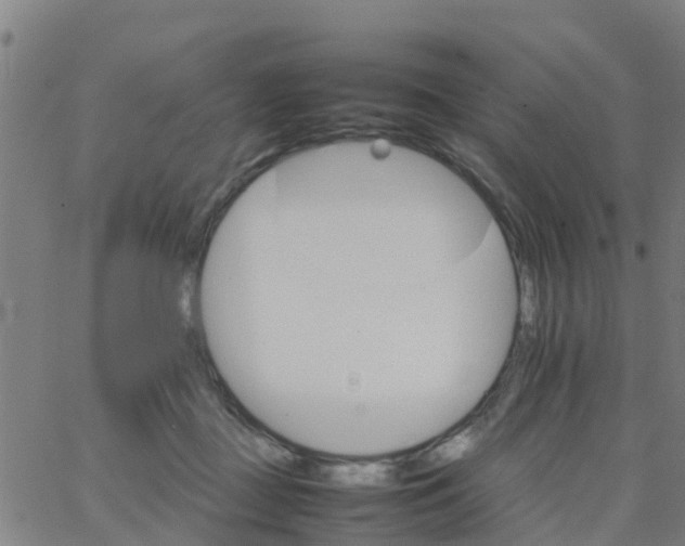 X0000066080363200603311941