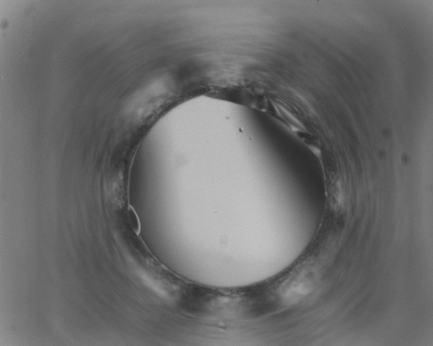 X0000066080364200603311941