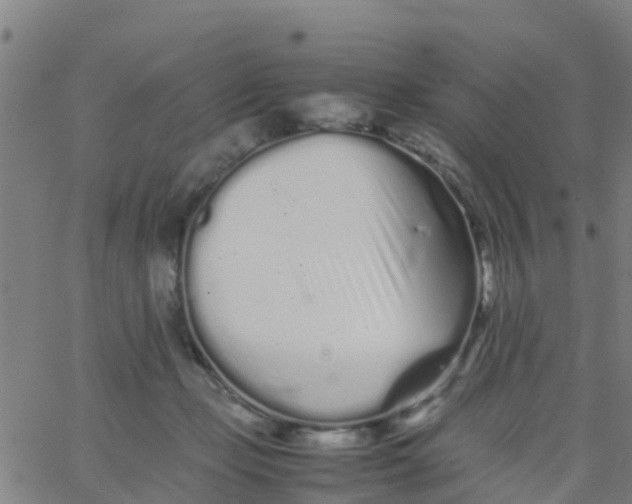 X0000066080365200603311941