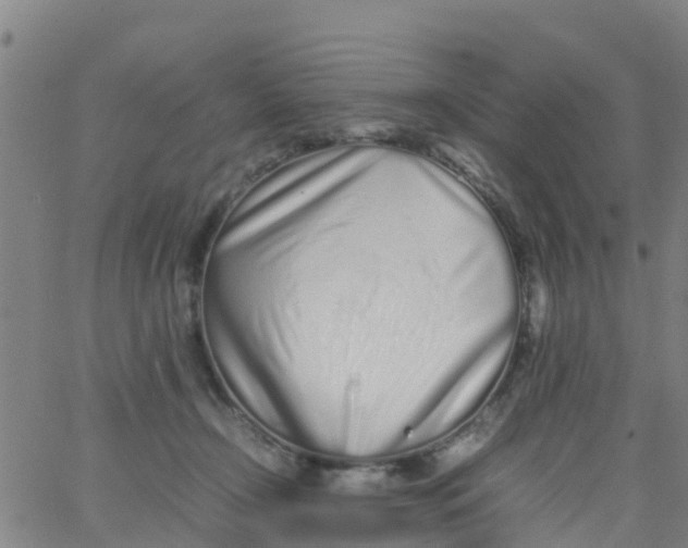 X0000066080366200603311941