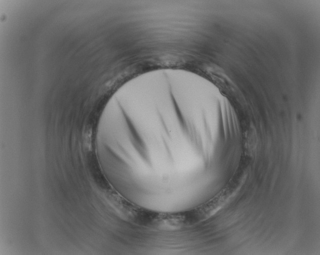 X0000066080368200603311941