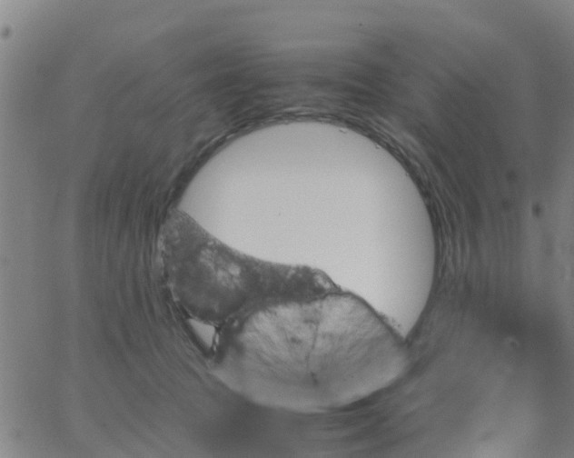 X0000066080369200603311941