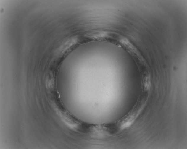 X0000066080372200603311941