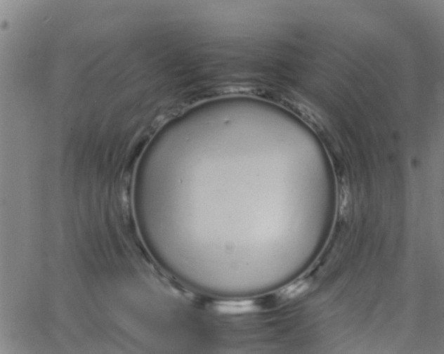 X0000066080373200603311941