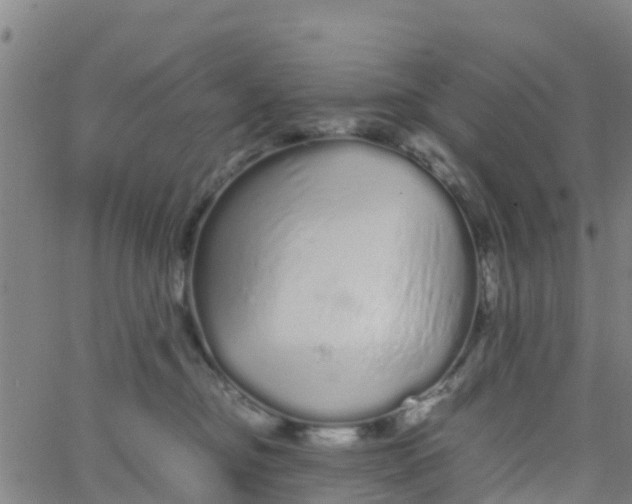 X0000066080374200603311941