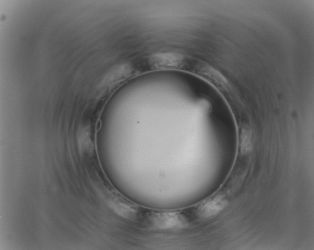 X0000066080377200603311941