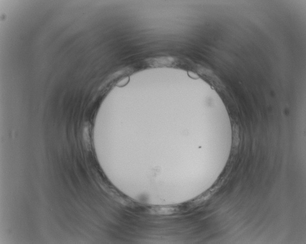 X0000066080378200603311941