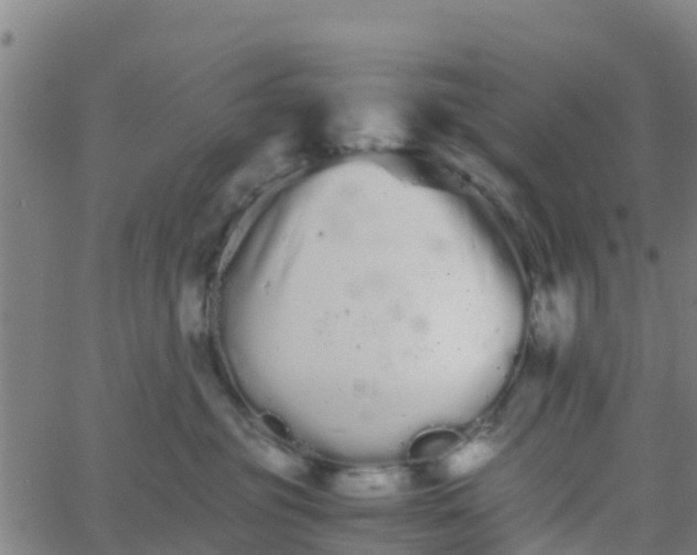 X0000066080381200603311941